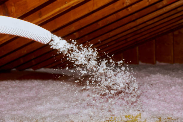 Best Specialty Insulation in Sanibel, FL
