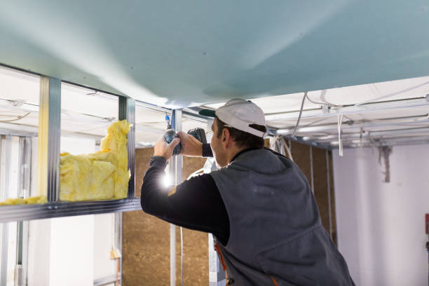 Best Residential Insulation in Sanibel, FL